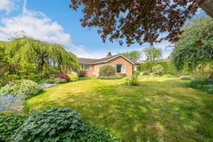 Rear garden- click for photo gallery
